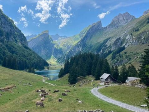 帕诺拉马盖斯特霍夫克里斯特贝里旅馆-旅行者