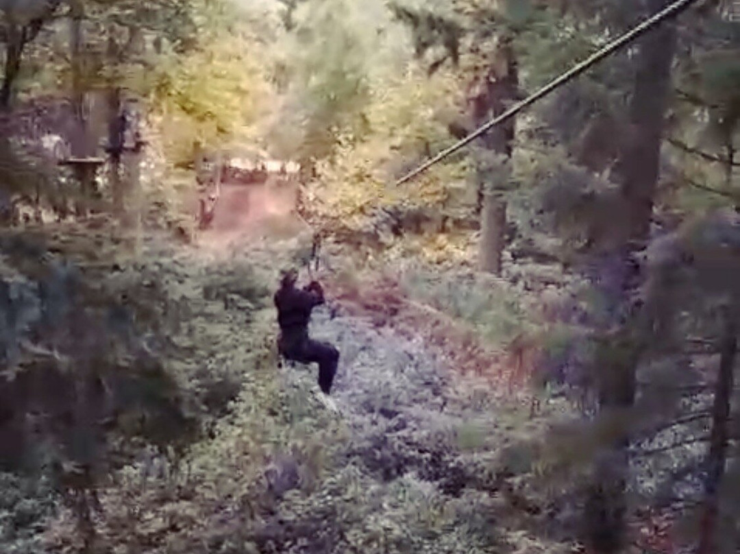 Go Ape Thetford-塞特福德必去景点