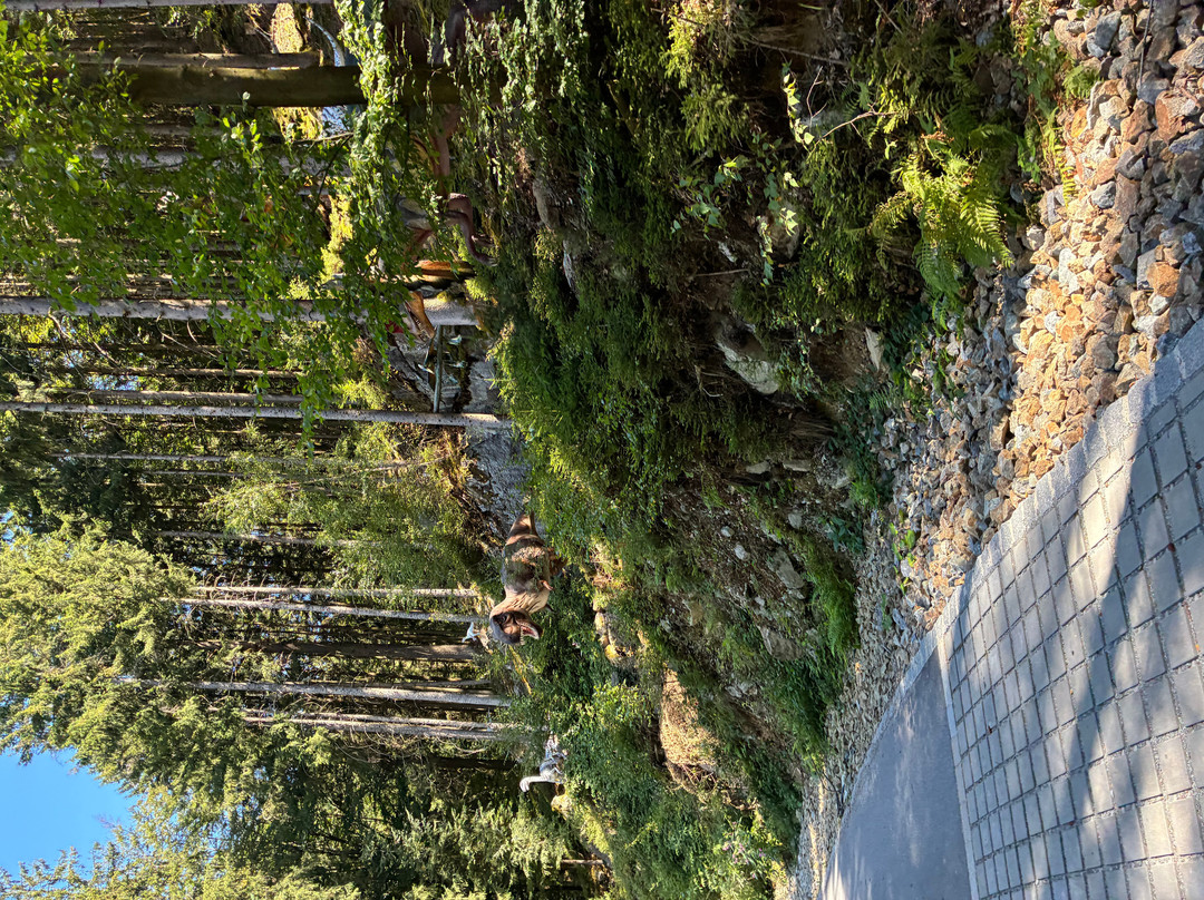 Edelwies Natur- und Freizeitpark-Neukirchen必去景点