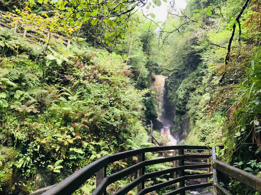 Glenariff Forest Park Caravan Park-Glenariff必去景点