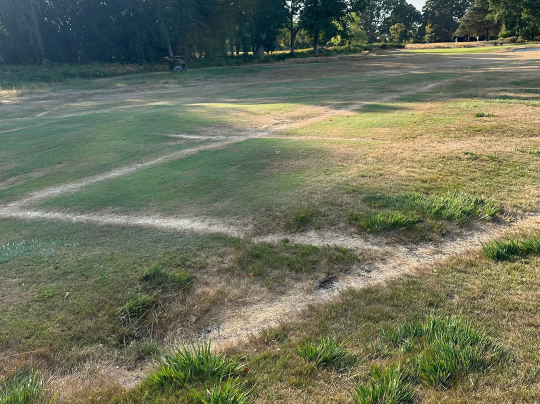 Brokenhurst Manor Golf Club-Brockenhurst必去景点