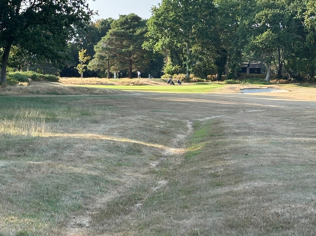 Brokenhurst Manor Golf Club-Brockenhurst必去景点