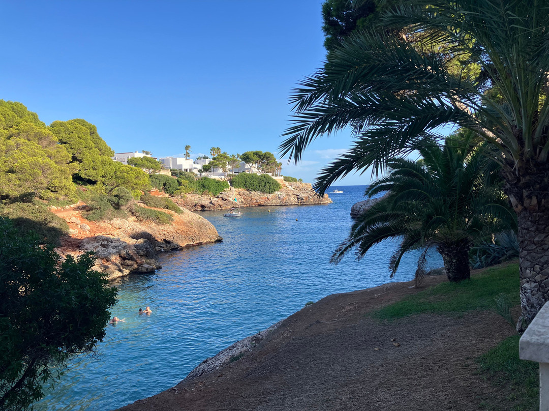 AluaSoul Mallorca Resort - Adults Only主图
