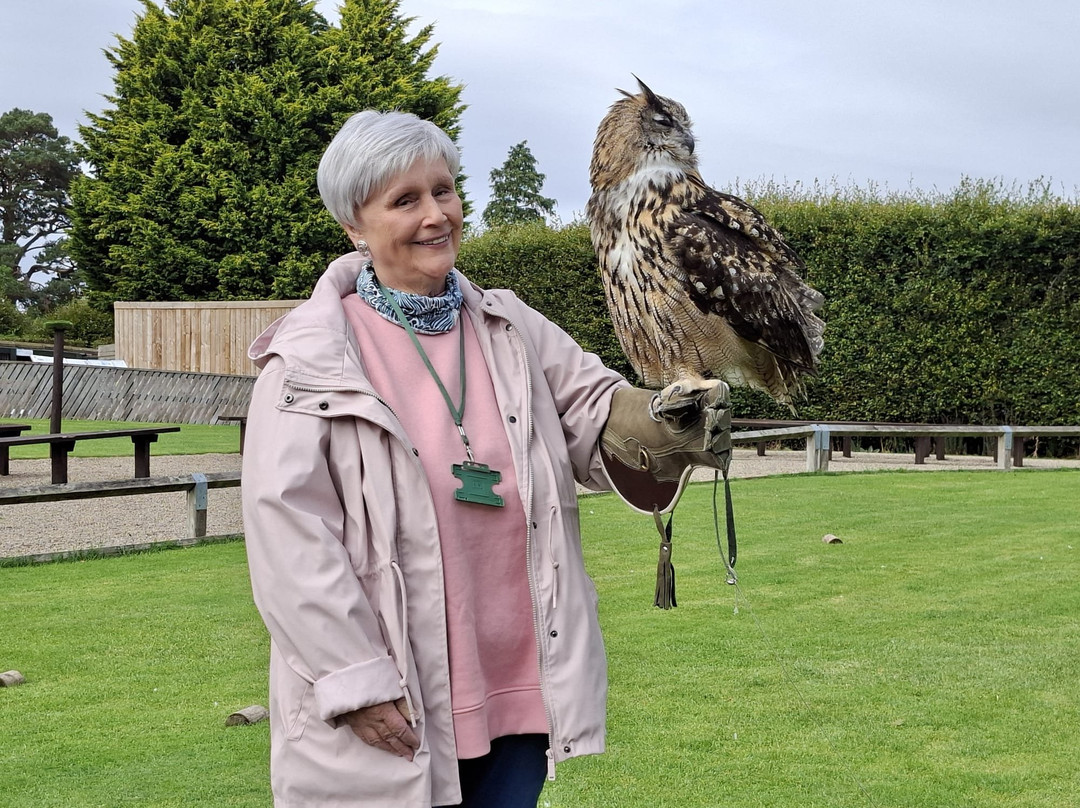Thirsk Birds Of Prey Centre-瑟斯克必去景点