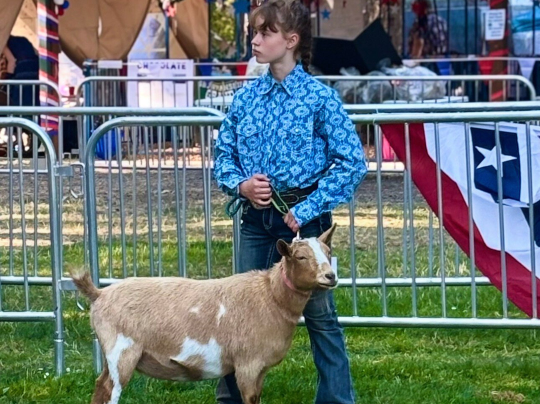 Washington State Fair-皮阿拉普必去景点