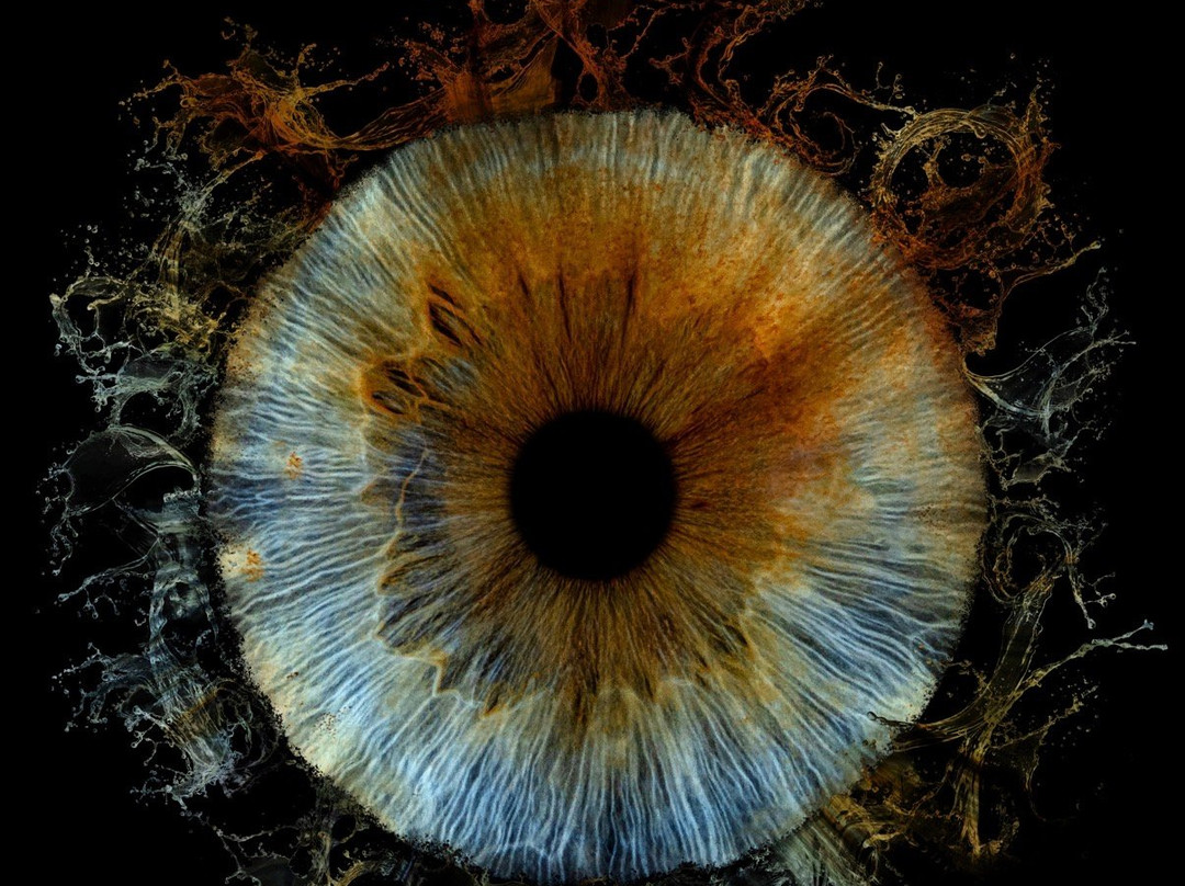Iris Galerie Gent-根特必去景点