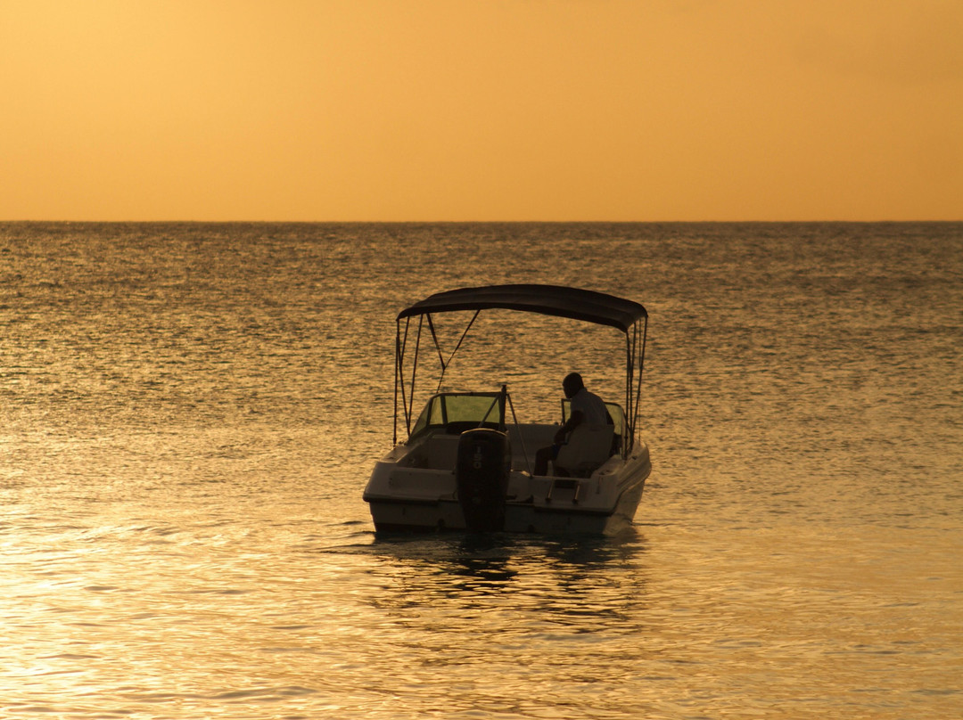 A Plus Tours and Events LTD Barbados-Holetown必去景点
