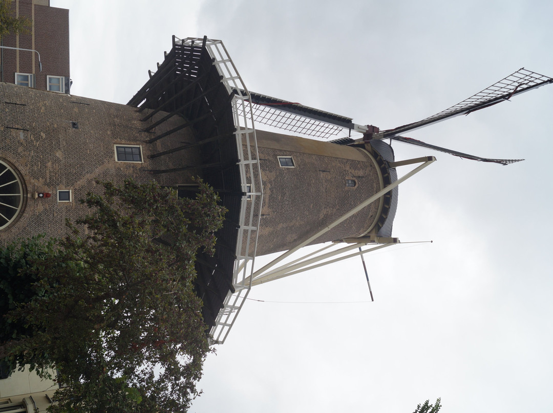 Red Lion Windmill (Molen De Roode Leeuw)-高德必去景点