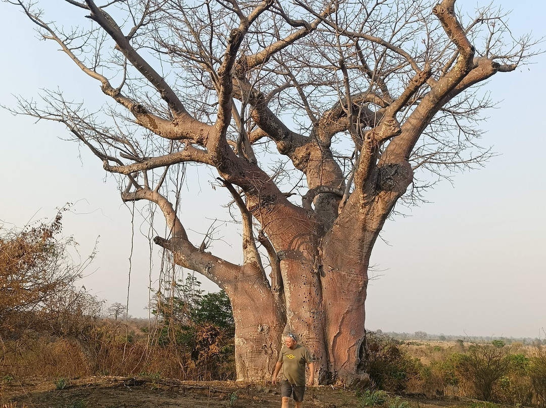 Kuti Wildlife Reserve-沙利马必去景点