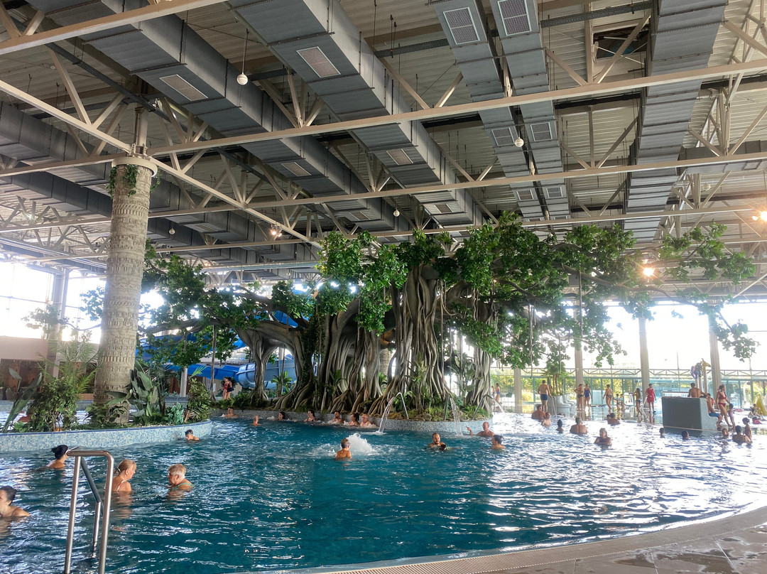 Amazonia Aquapark-蒂米什瓦拉必去景点