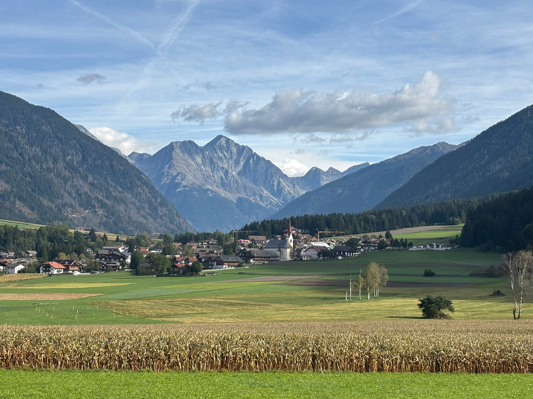 Hotel Alpen Tesitin主图