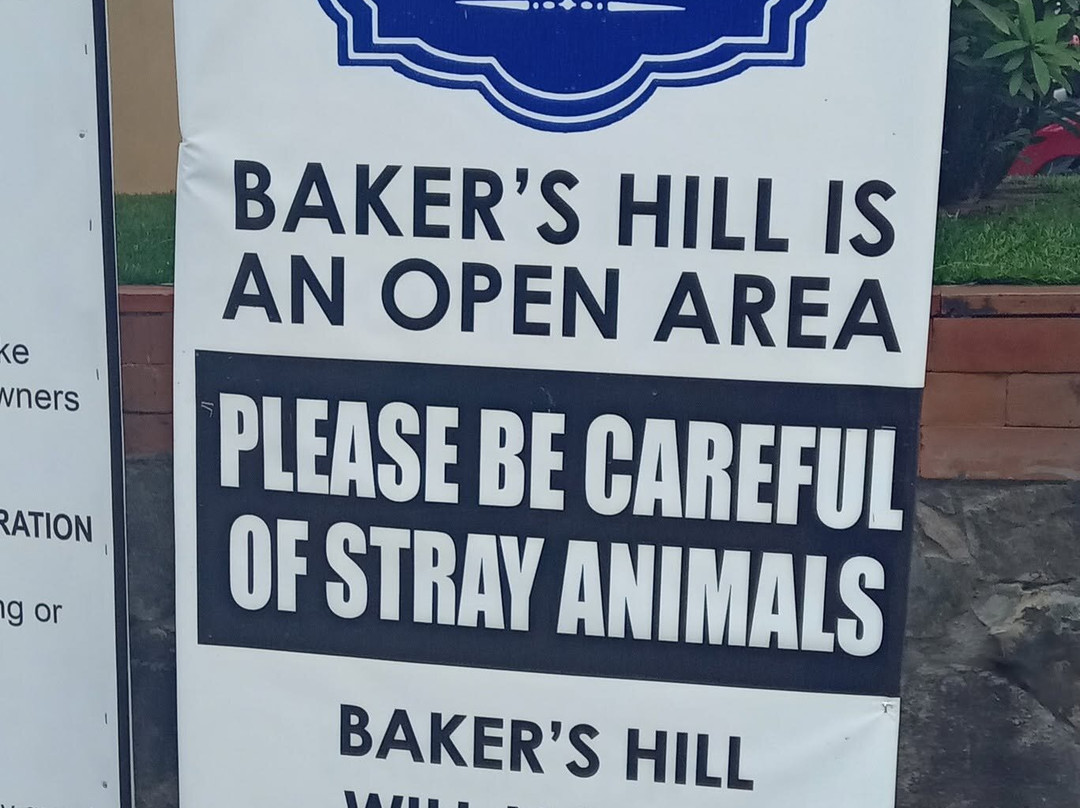 Baker's Hill-公主港必去景点