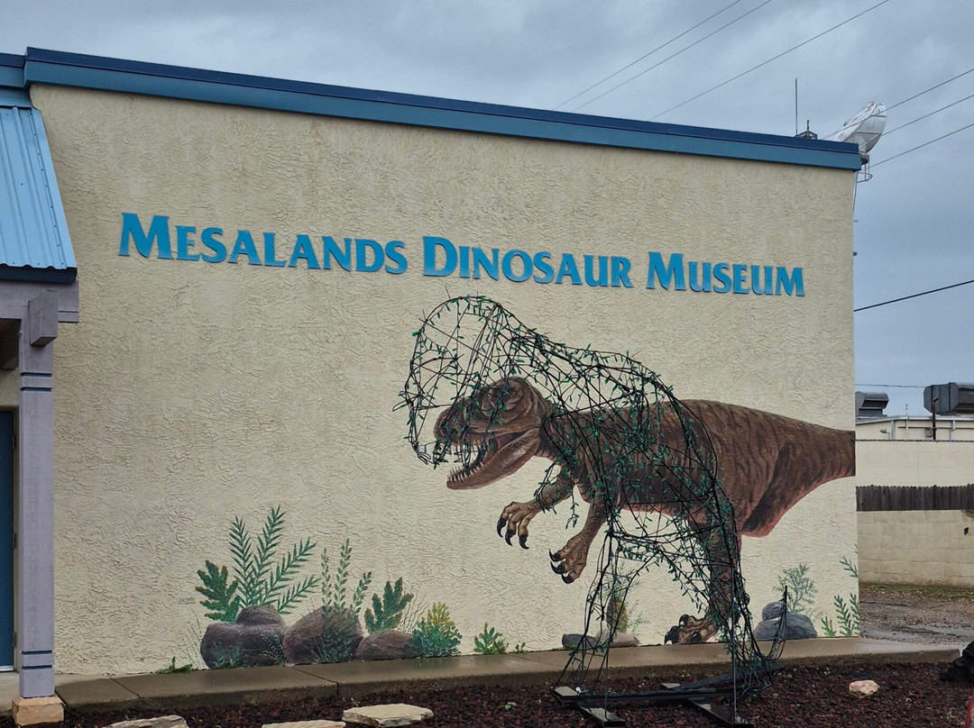 Mesalands Community College's Dinosaur Museum and Natural Sciences Laboratory-图克姆卡里必去景点