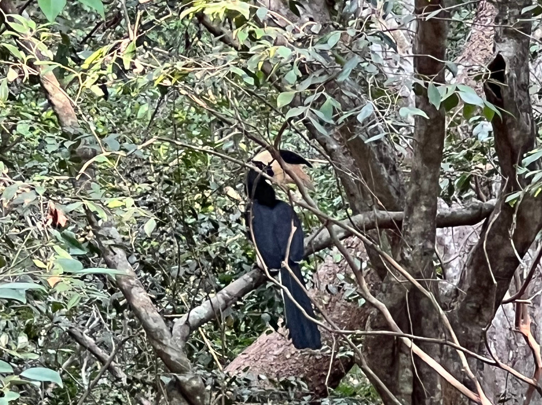 Wilpattu Megha Safari-阿努拉德普勒圣城必去景点