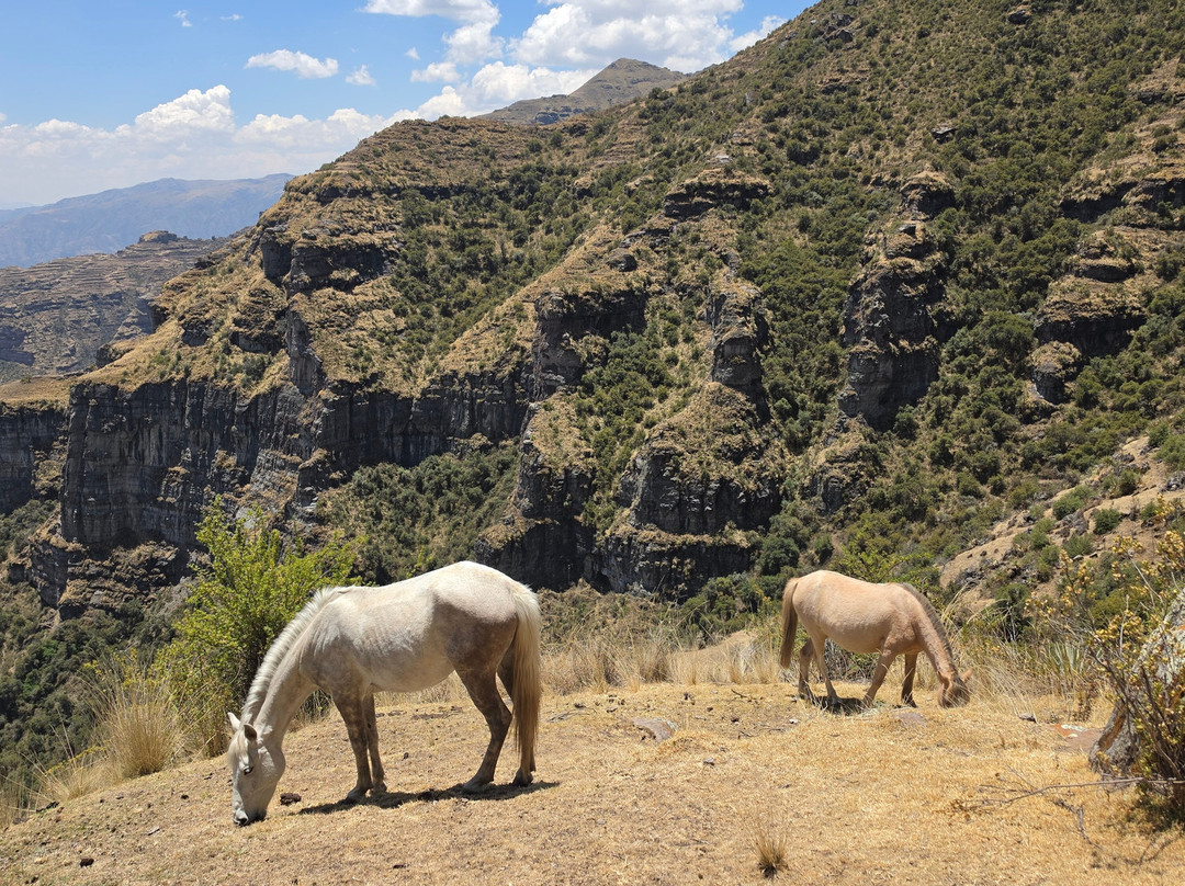 Qeswachaka Peru Tours-库斯科必去景点