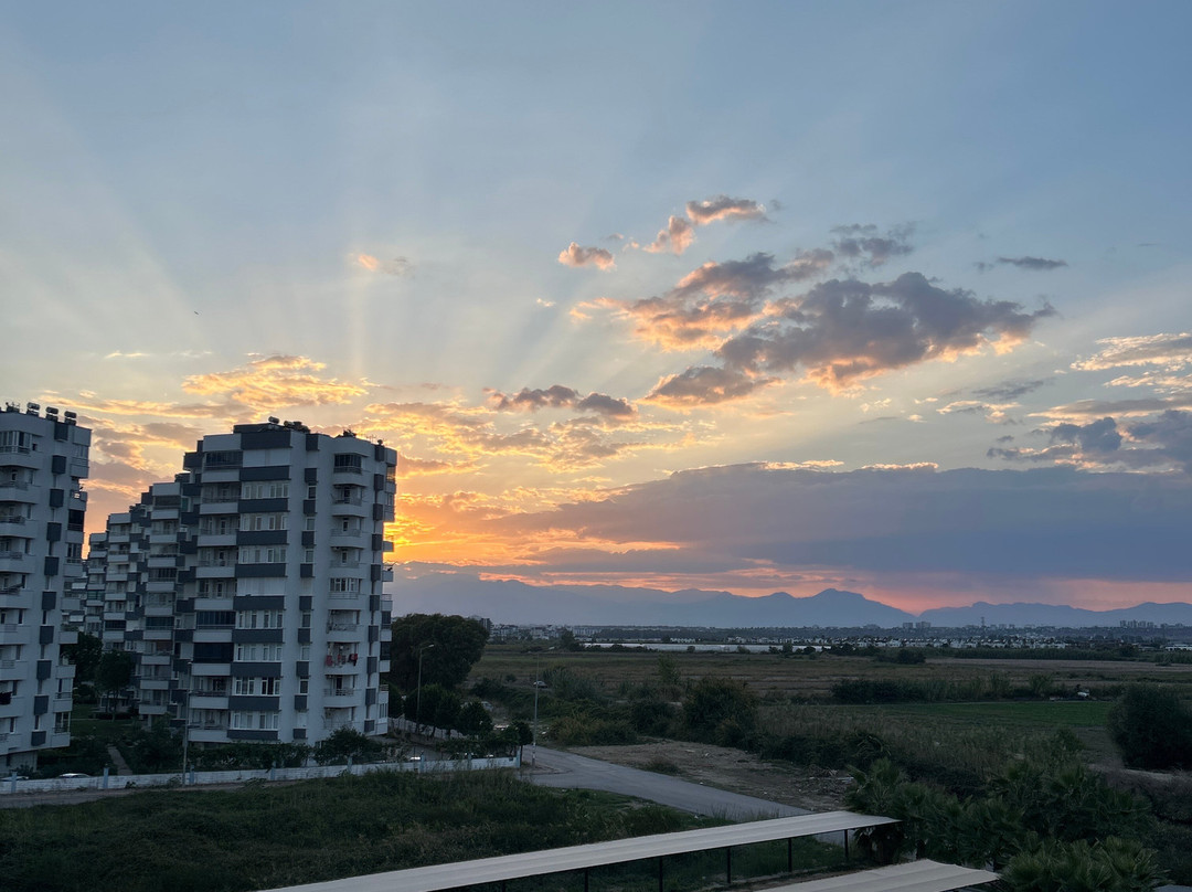 Greenwood Suites Resort - 格林伍德套房度假村主图