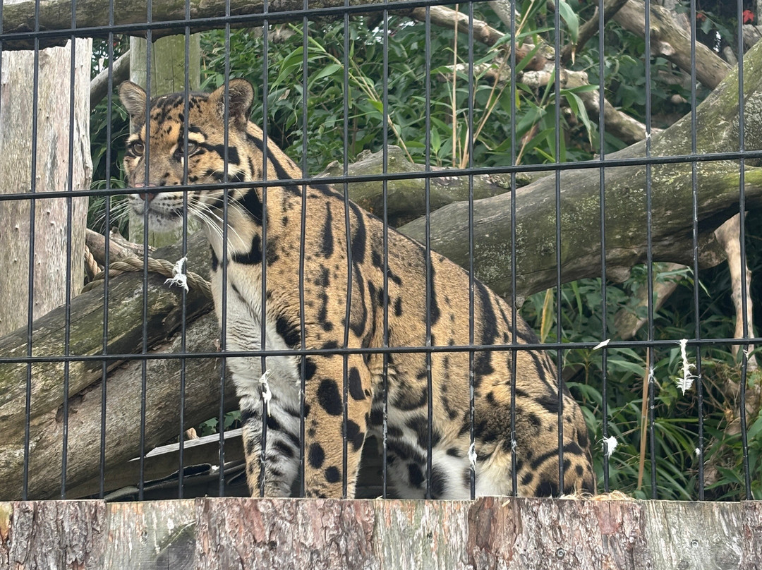Krokodille Zoo-Eskilstrup必去景点