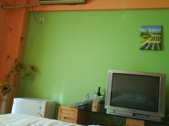 成都爱舍儿酒店式公寓凯悦店-客卧