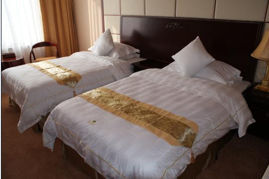 桂林维也纳酒店中山店主图