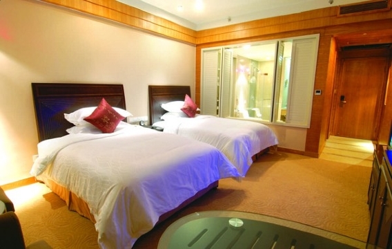 内江艾林大千国际酒店-客卧