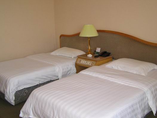 银塔大酒店-客卧