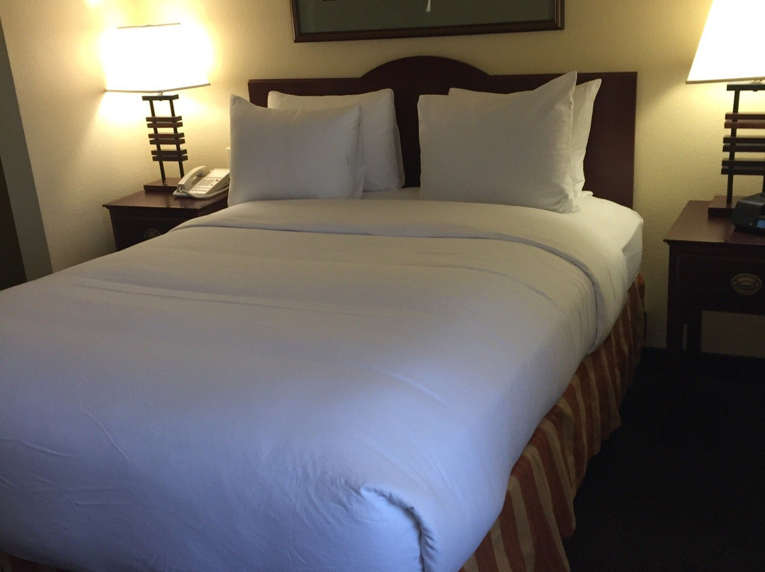 拉克斯普兰廷贝勒维全套房酒店