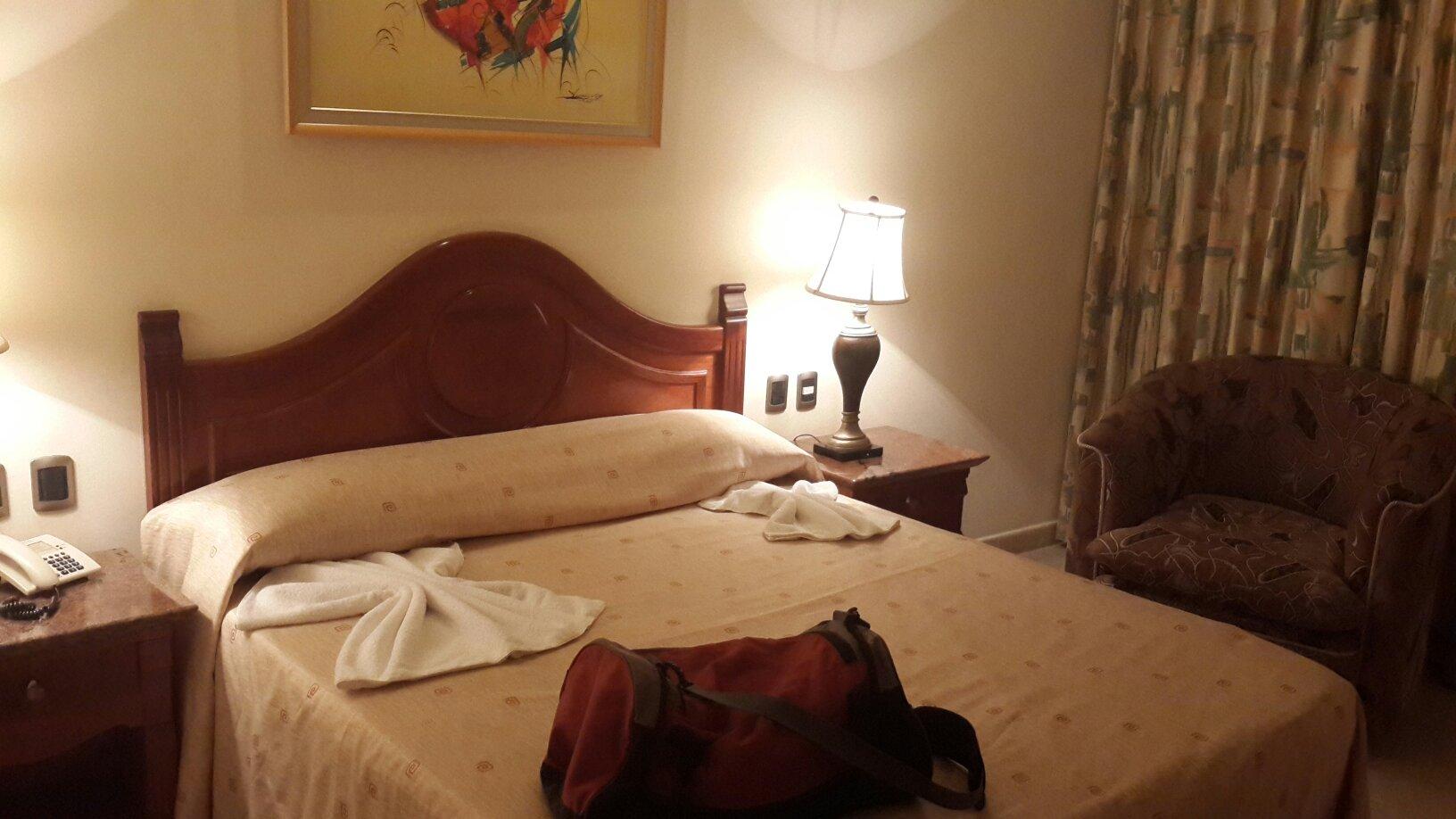 Hotel Dinastía-客卧