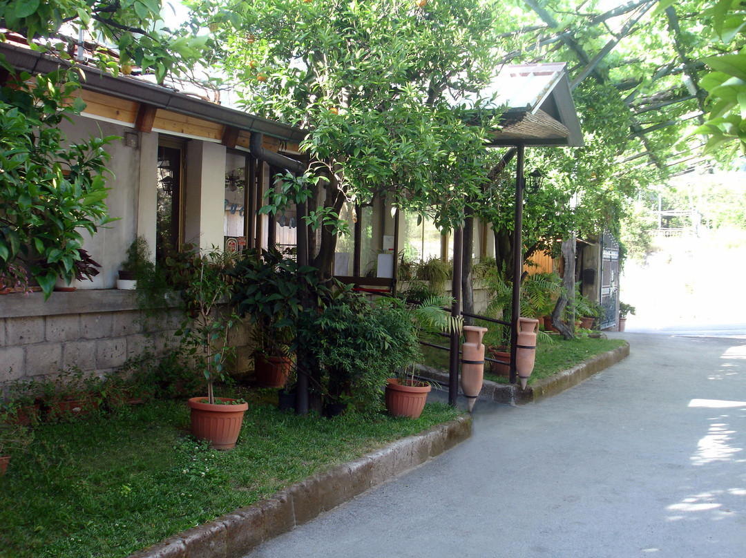 Piano di Sorrento酒店住宿-Fiori d'Arancio