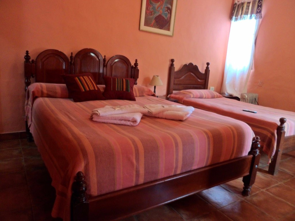 普尔马马尔卡酒店住宿-El Viejo Algarrobo