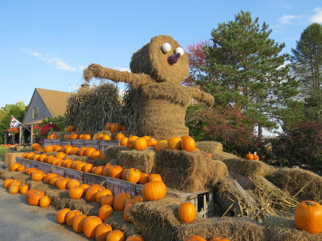 Brookdale Fruit Farm景点图片