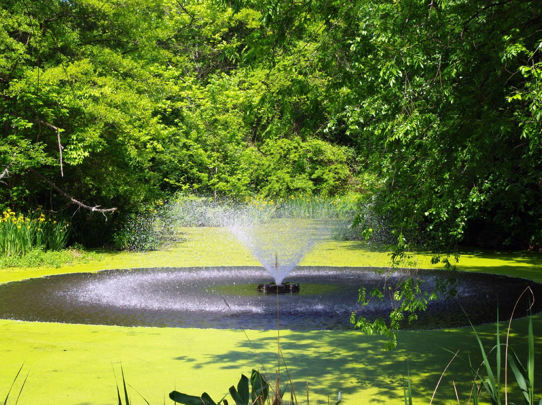 Helen Avalynne Tawes Garden-安纳波利斯必去景点