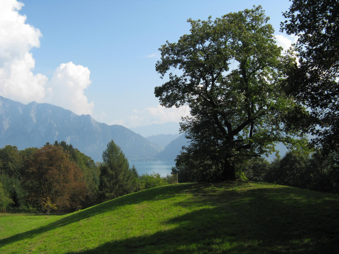 Edelkastanienwald und Waldlehrpfad