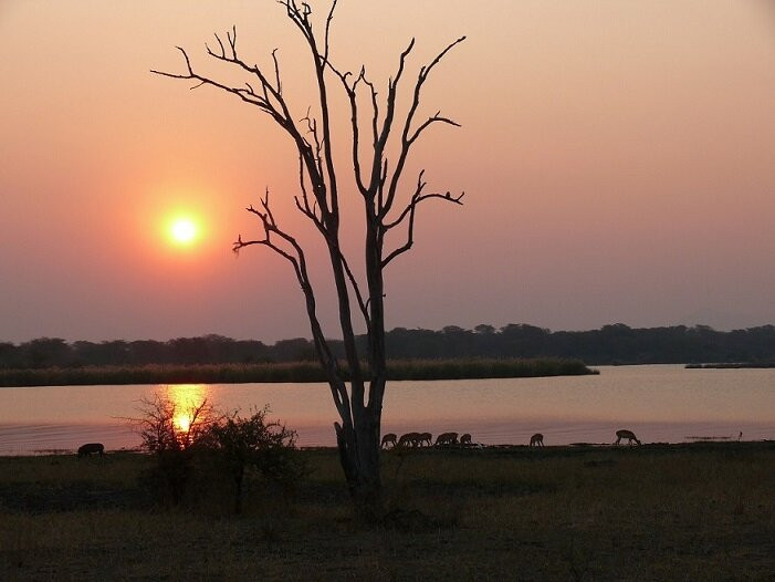 Liwonde National Park旅游攻略图片