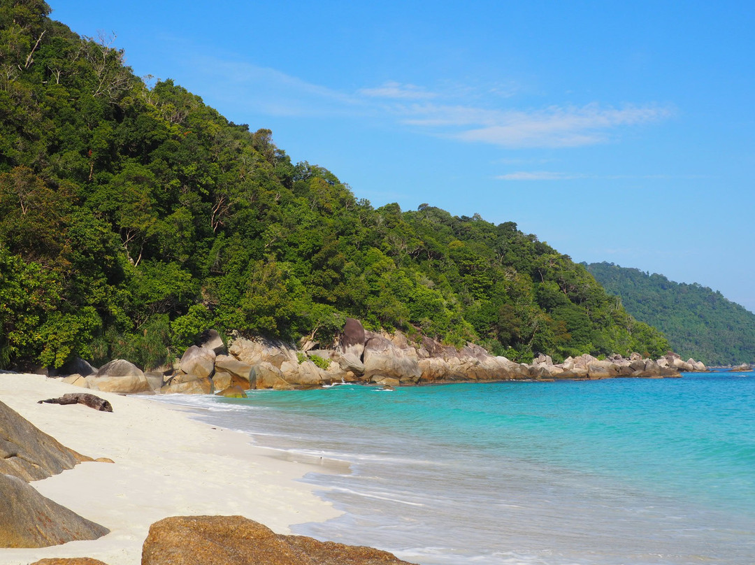 Turtle Sanctuary Beach景点图片