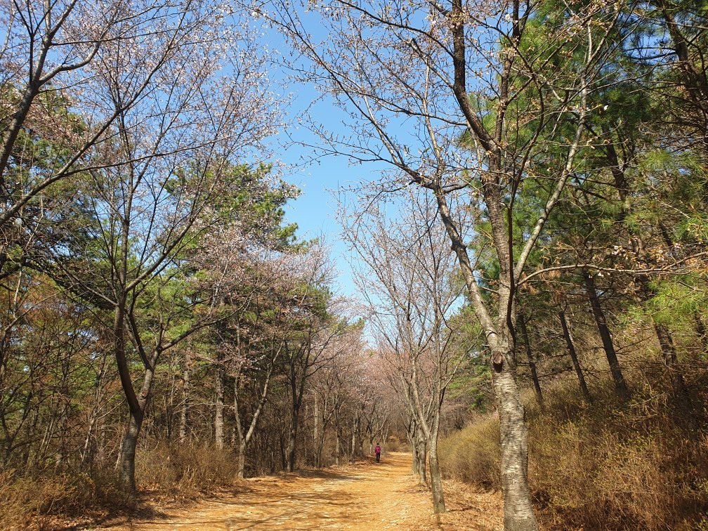 军浦市旅游景点-Surisan Land