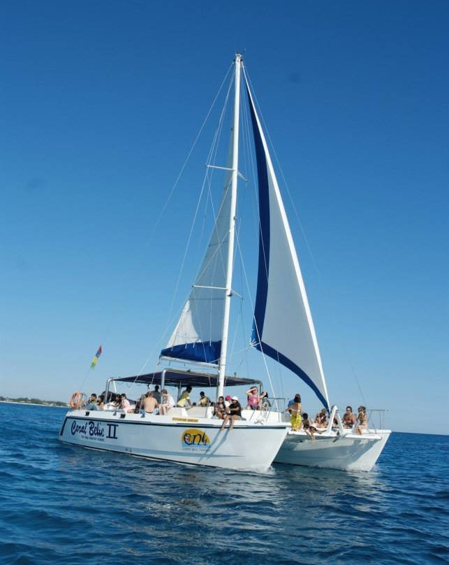 Coral Belle Catamaran Cruises-大湾必去景点