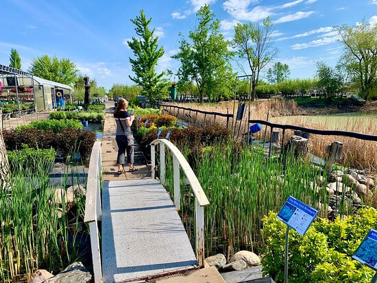 All Seasons Garden Center景点图片