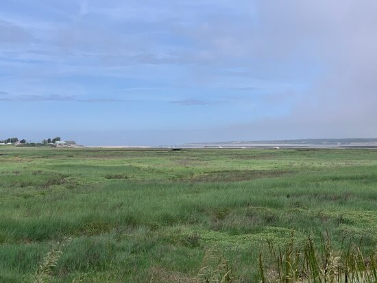 Escootopale Le Touquet paris plage-勒图凯－巴黎普拉日必去景点