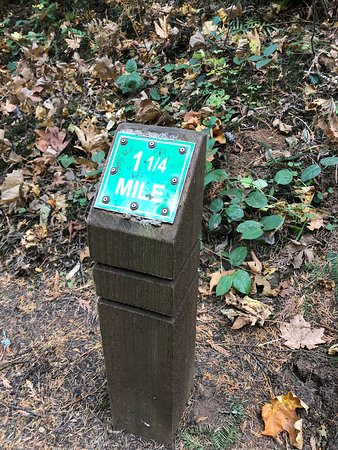 Multnomah Village-波特兰必去景点