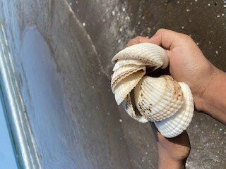 苏哈尔海滩酒店主图