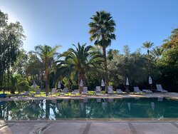 Villa Al Assala La Palmerale-泳池