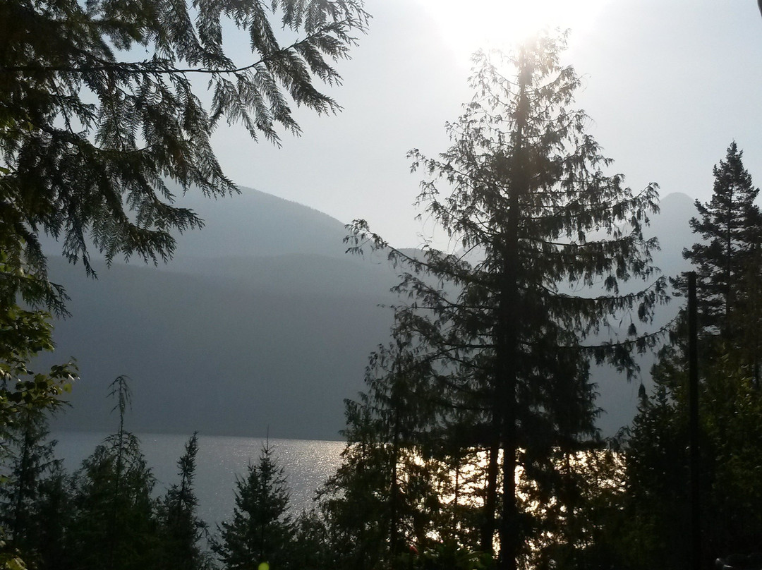 Bougainville Lodge B&B主图