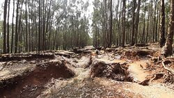 Ethio Cycling Adventures景点图片