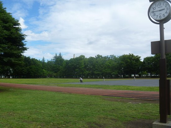 Higashiyamatominami Park-东大和市必去景点