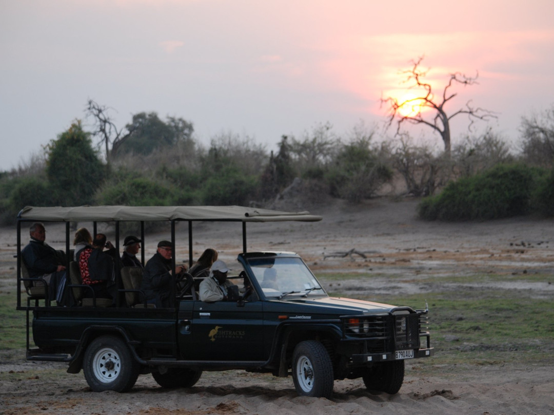 Safari4Africa景点图片