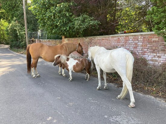 The Burley Inn Hotel主图