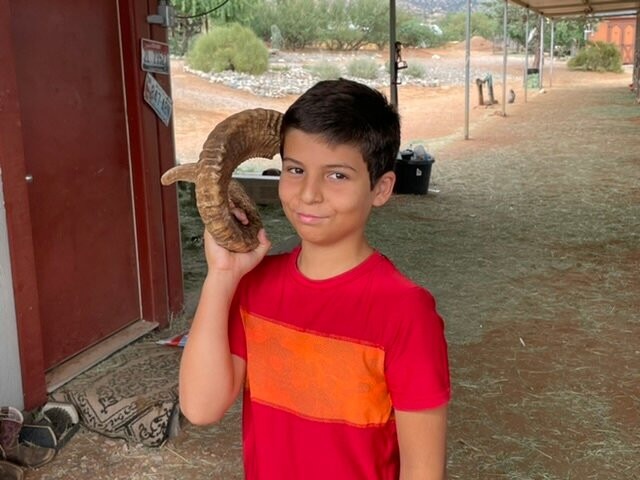 Harmony Acres Ranch & Petting Farm-Cornville必去景点