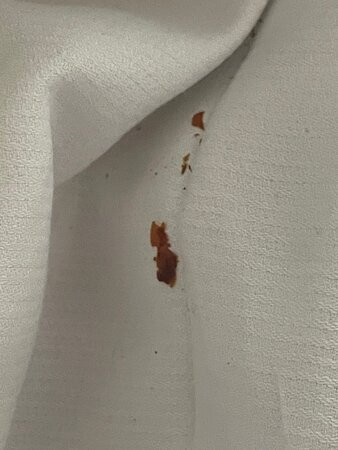 Hotel Gut Altona主图