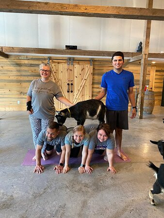 Galena Goat Yoga-加利纳必去景点