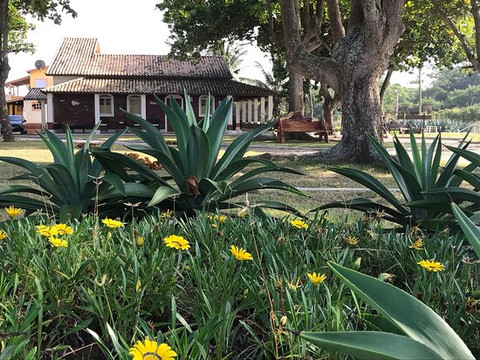 Manguinhos Beach-Sao Francisco De Itabapoana必去景点